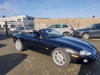 Jaguar XK8 4.0,LEDER,KLIMA,GUTACHTEN 20000 EURO,ALU Nordrhein-Westfalen - Alsdorf Vorschau