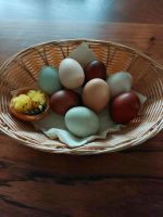 Eier, Hühnereier, frische Eier Baden-Württemberg - Meckesheim Vorschau