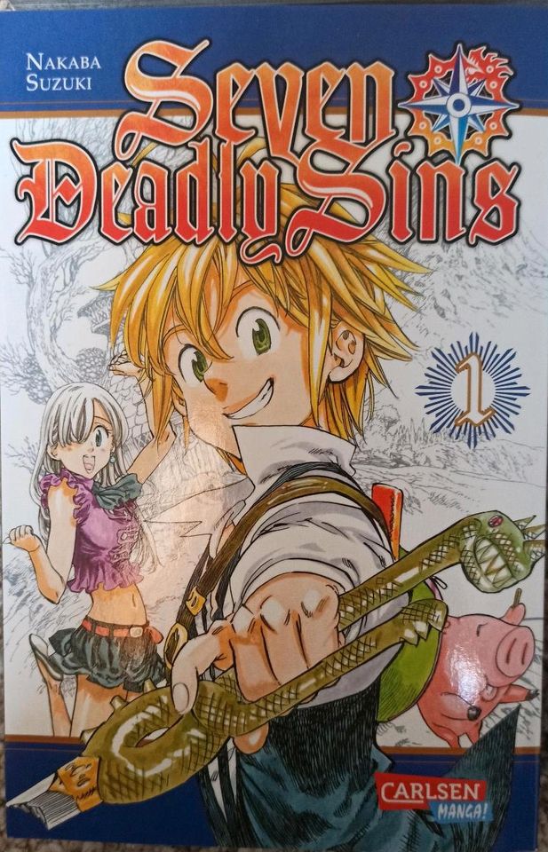 Mangas (Maid-Sama, Seven Deadly Sins, ...) in Großräschen