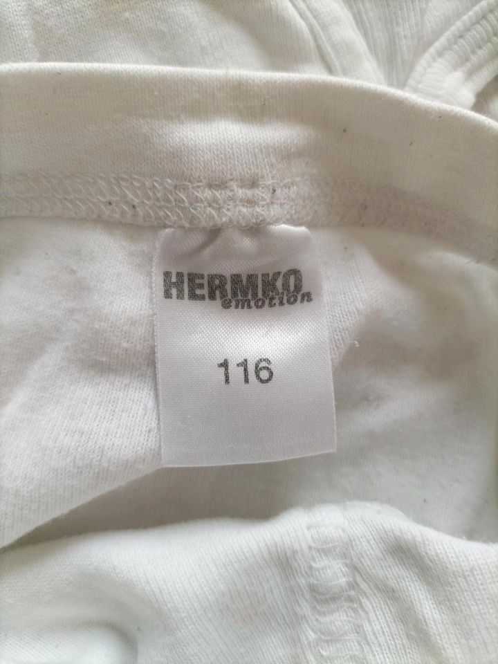 4 Hermko Unterhosen gr. 116 in Hamburg