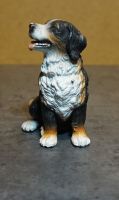 Schleich Berner Sennenhund / Hund Mecklenburg-Vorpommern - Stralsund Vorschau