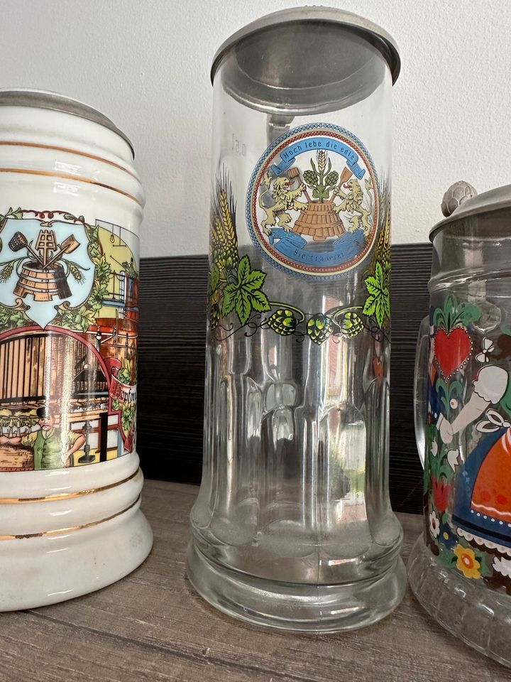 Bierkrüge Sammlung in Bergheim