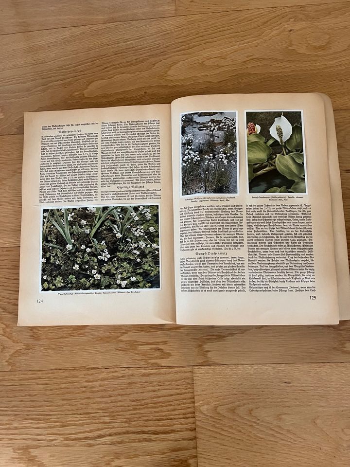 Aus Wald und Flur Zigarettenalbum Pflanzen unserer Heimat komplet in Wuppertal