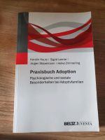 Praxisbuch Adoption Rheinland-Pfalz - Woldert Vorschau