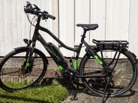 Elektrotrekkingfahhrrad zu verkaufen! Nordrhein-Westfalen - Steinhagen Vorschau