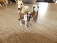 Schleich Pferde Fallabellafamilie (13687, 13688, 13759) Thüringen - Hermsdorf Vorschau