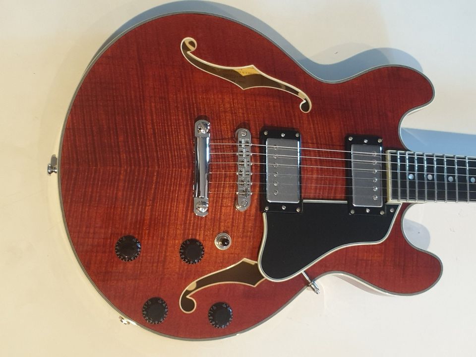 Eastman T484 Classic Deluxe E-Gitarre in Röthenbach