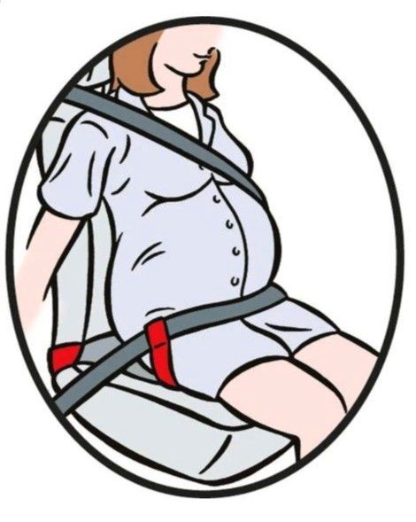 Clippsafe Bump Belt - Schwangerschaftsgurt für das Auto in Würzburg