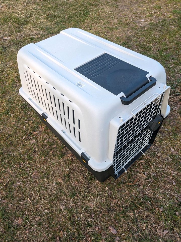 Tierbox Hund Katze Maus Transportbox in Teupitz-Tornow