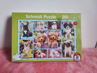 Katzen Puzzle 200 Teile Harburg - Hamburg Hausbruch Vorschau