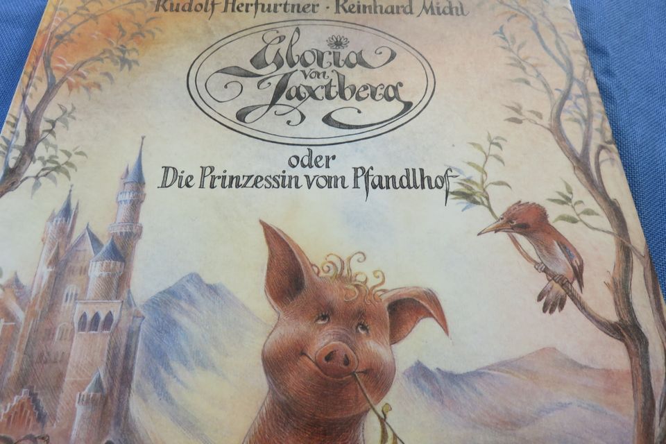 Kinder Buch die Prinzessin vom Pfandlhof in Johanniskirchen