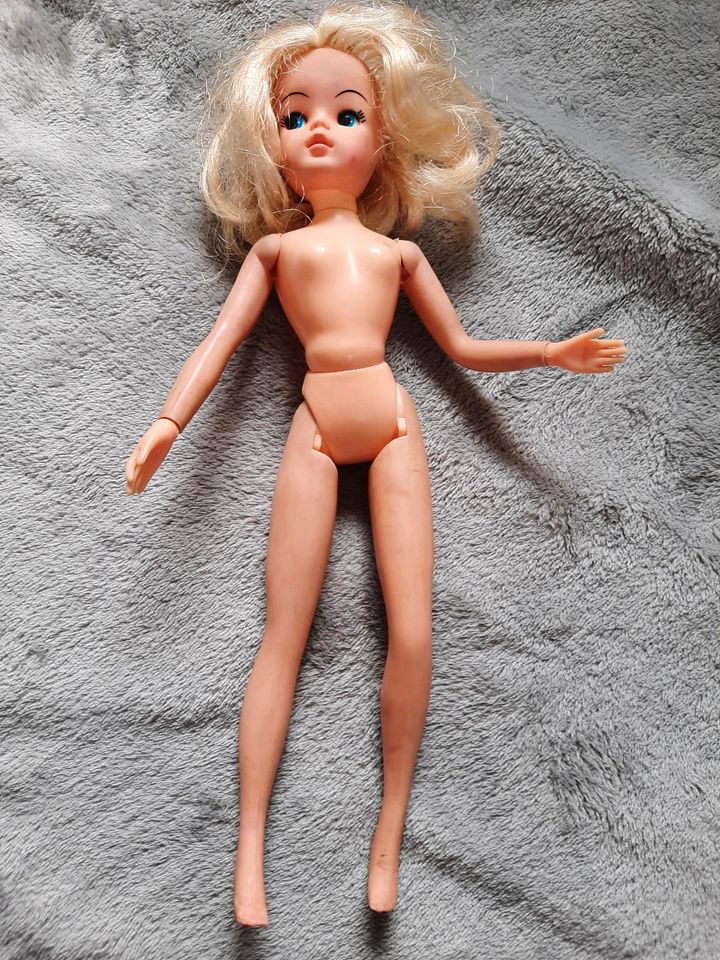 Barbie, Petra, verschiedene (die v.Foto 1 und 2 verkauft) in Remagen
