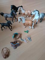 5 Schleich Pferde Paket mit Zaumzeug Leipzig - Dölitz-Dösen Vorschau