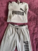 Puma Jogginganzug Hannover - Ricklingen Vorschau