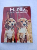 Hunde lieben und verstehen es Nordrhein-Westfalen - Oelde Vorschau