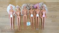 6 x barbie set Paket lot 80er 90er 2000er (2) Rheinland-Pfalz - Biebelnheim Vorschau