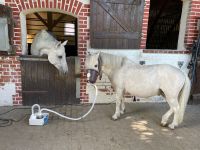 Ultraschall Inhaliergerät Inhalator für Pferde Essen - Essen-Stadtwald Vorschau