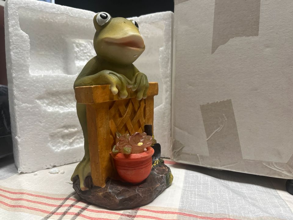 Garten Frosch mit Solarlicht in Köln