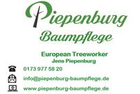 Professionelle Baumpflege / Baumfällungen seit 2003 Bad Doberan - Landkreis - Rerik Vorschau