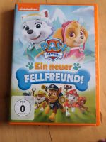 Kinder DVD Paw Patrol ein neuer Fellfreund Bayern - Schechen Vorschau