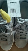 Adidas Damen Turnschuhe, 8,5/43, Leder, grau-weiß Köln - Porz Vorschau