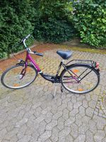 Hera Fahrrad Damen Fahrrad Nordrhein-Westfalen - Velbert Vorschau