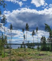 Baureife Strand - Grundstücke im Seenparadies Dalsland, Schweden Baden-Württemberg - Dauchingen Vorschau