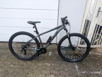 Mountainbike (Hardtail) Fuji Nevada 29 1.9 Saarland - Homburg Vorschau