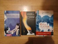 3 × Romane Spanisch novelas espanolas Saramago, Vargas Llosa München - Altstadt-Lehel Vorschau