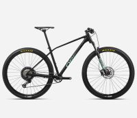 Orbea Alma Mountain-Bike MTB 29" Vermietung Verleih LauterBikes Baden-Württemberg - Bad Wimpfen Vorschau