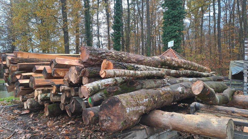 Brennholz  Laubholz FRISCH in Stadtroda