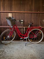 Pegasus Fahrrad Größe 50 Baden-Württemberg - Löwenstein Vorschau