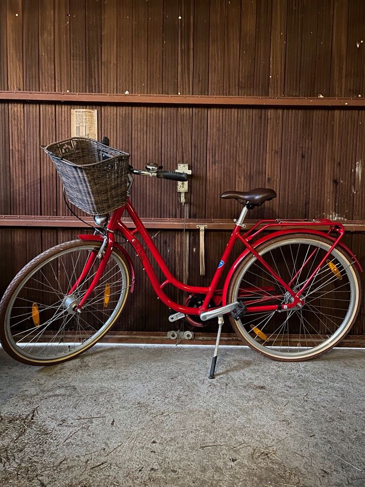 Pegasus Fahrrad Größe 50 in Löwenstein