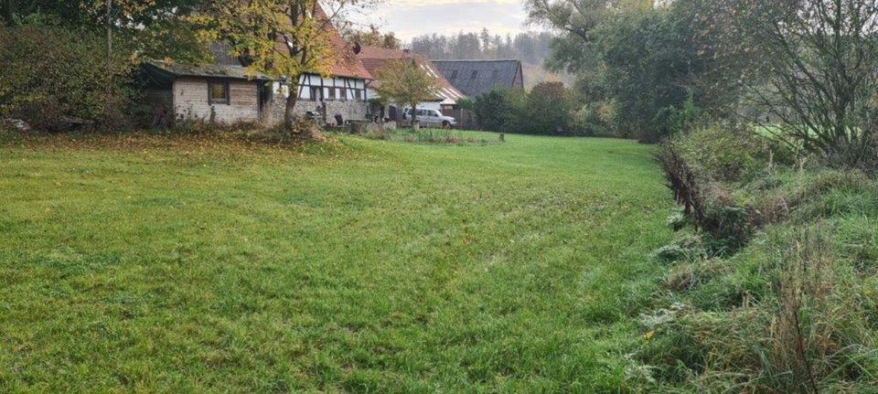 Traumhaus mit Scheune, Gästehaus & ca. 20.000 qm Land zentral in Dörentrup