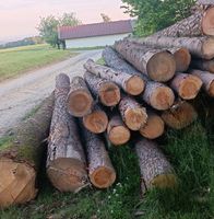 Baumstämme Stammholz für Kantholz Dachlatten Kiefer Bauholz Bayern - Rattiszell Vorschau