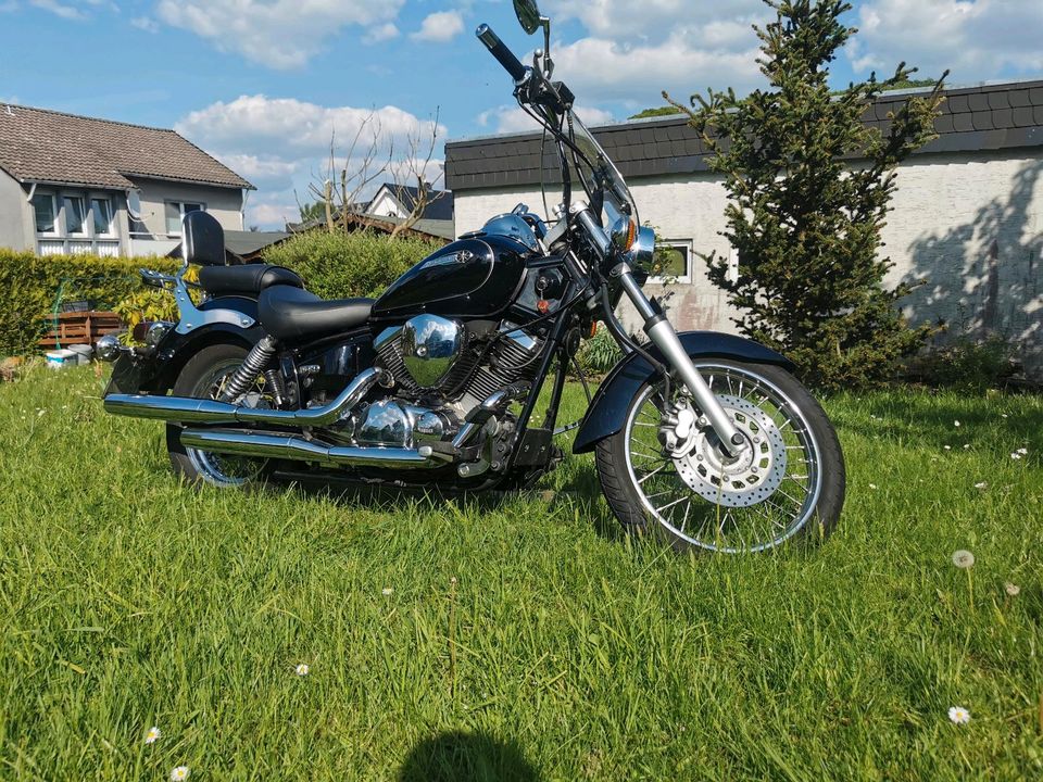 Yamaha dragstar in Brilon