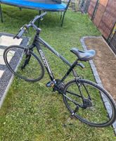 Crossbike Herrenfahrrad von Giant 28 Zoll Bayern - Bad Grönenbach Vorschau