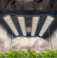 NEU! 240W LED Grow Lampe - SAMSUNG LM301H EVO! Niedersachsen - Lüneburg Vorschau