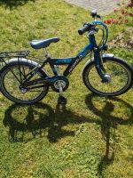 Pegasus Kinderfahrrad Fahrrad 20 Zoll Nordrhein-Westfalen - Rheine Vorschau