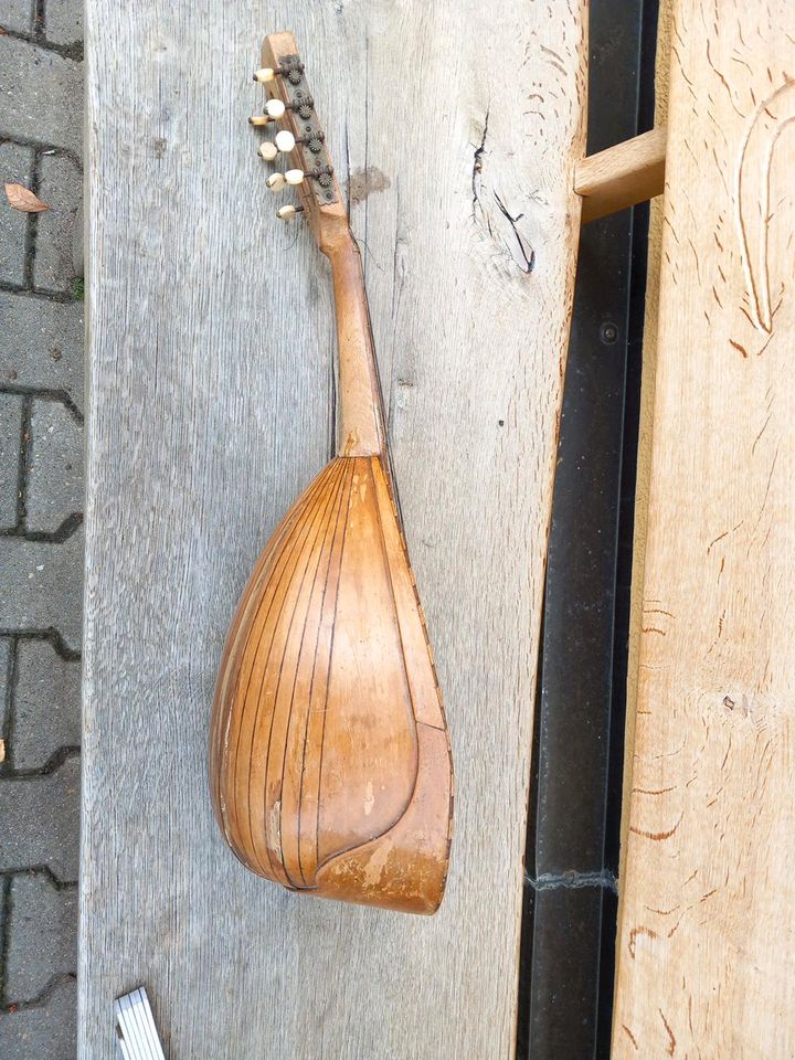 Mandoline. in Litzendorf