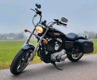 Harley Davidson Sportster XL 1200T, Superlow, KessTech Bayern - Zorneding Vorschau