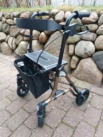 Hochwertiger Rollator Neu OVP Sylt - Westerland Vorschau