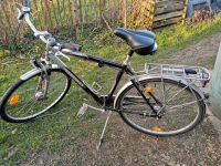 Fahrrad Herren Hercules 28 Zoll 7 Gang Schleswig-Holstein - Bad Oldesloe Vorschau
