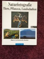 Fritz Pölking Naturfotografie Tiere, Pflanzen, Landschaften Bayern - Langweid am Lech Vorschau