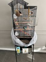 Vogel mit käfig abzugeben Essen - Karnap Vorschau