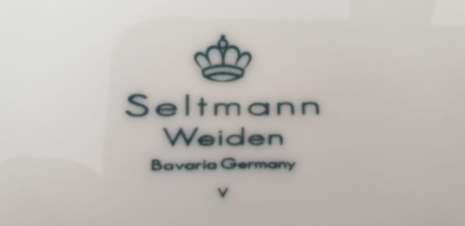 Seltmann Weiden Buffet Gourmet Platte Artikel 5140 in Otterfing