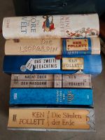 Mehrere Romane von Ken Follett Baden-Württemberg - Frickenhausen Vorschau