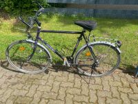 Giant 28zoll Fahrrad Nordrhein-Westfalen - Detmold Vorschau