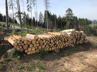 Brennholz zu verkaufen Bayern - Thurnau Vorschau