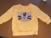 Pulli Pullover Primark Baby Gr. 68 Bär Thüringen - Erfurt Vorschau